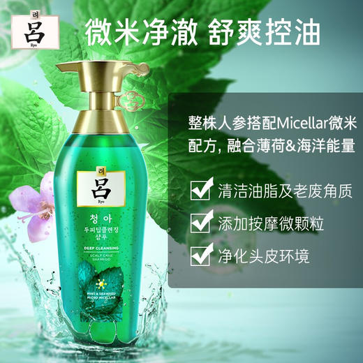 吕(Ryo)绿吕深层清洁净化头皮控油去屑无硅油洗发水400ml 商品图1