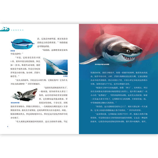 亲近海洋丛书 海洋鱼类奇闻多 青少年中小学生海洋科普教育图书 福建少年儿童出版社 fb 商品图3