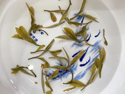 22春·枞古大音（40-60年树龄，荒野牡丹散茶·直面茶） 商品图6