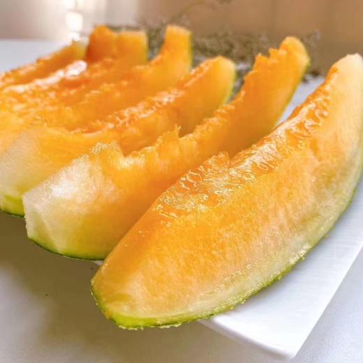 新疆哈密瓜吐鲁番火焰蜜瓜 西州蜜25号 商品图1