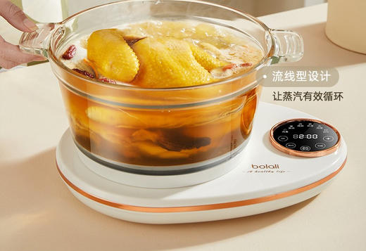 博拉利（bolali）家用多功能电炖锅电煮锅隔水燕窝炖盅炖汤锅煲汤锅婴儿煮粥锅熬粥养生BL-DG01 象牙白 商品图0