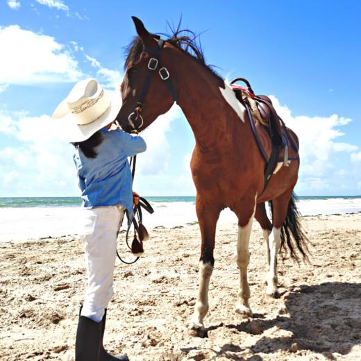 【一龄夏令营·6~18岁】神风骑士营 · 6天5晚 · 练就优雅马术 追梦星辰大海 商品图5