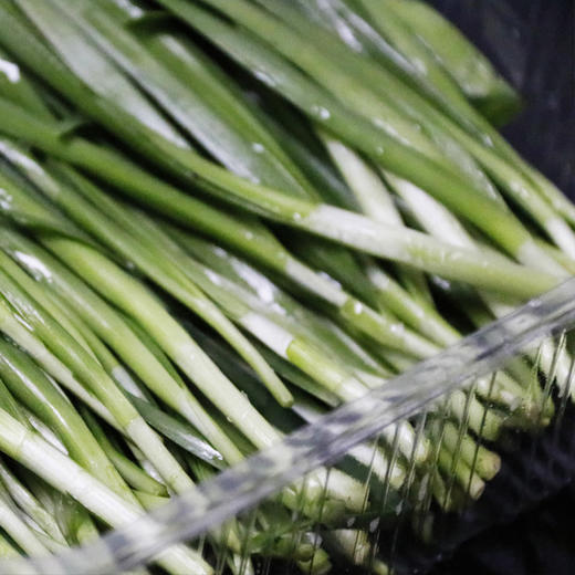 烧烤韭菜（洗）1斤装/盒 商品图1