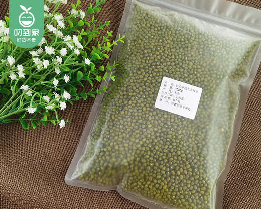 铁山罗地东北绿豆/1包（1000g）生产日期：25年10月补单专用 商品图5