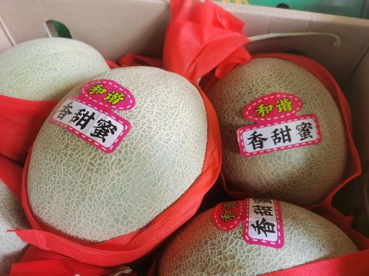 香甜网纹蜜瓜2个装 商品图0