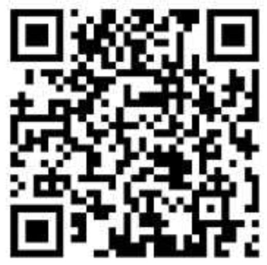 【小红书推荐款】blushgirl 契约天使，年抛/直径14.5/着色13.9，138/一副 商品图13