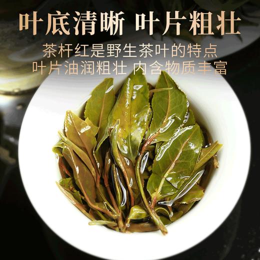 白茶白牡丹荒野白茶200克精美礼盒包装 商品图3