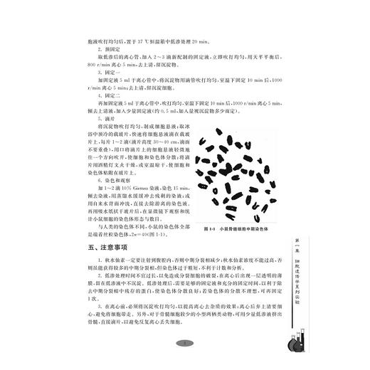 遗传学实验教程/高等院校生物类专业系列教材/边才苗/浙江大学出版社 商品图3