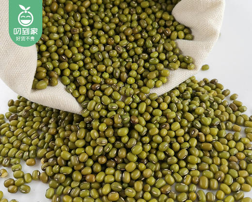 铁山罗地东北绿豆/1包（1000g）生产日期：25年10月补单专用 商品图2