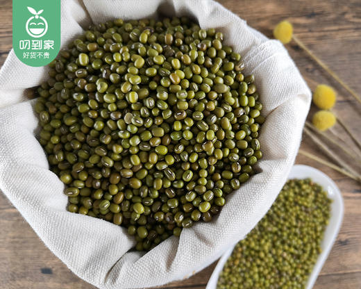 铁山罗地东北绿豆/1包（1000g）生产日期：25年10月补单专用 商品图1