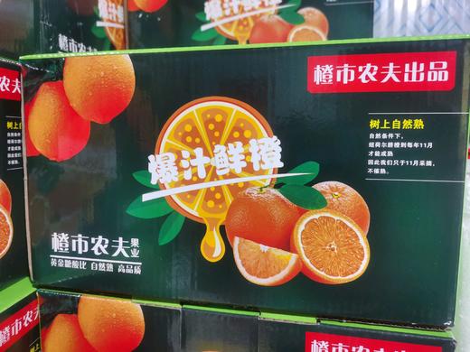 橙市农夫脐橙一件 商品图0