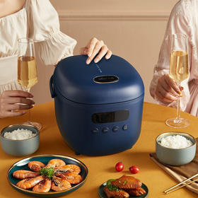 【居家好物】小熊（Bear）智能家用多功能全自动柴火饭预约煮饭煲 DFB-B20N2