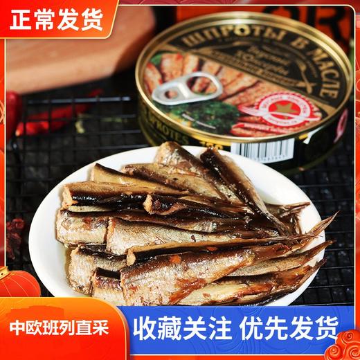 【中欧班列精选】俄罗斯进口油浸波罗的海熏制小鲱鱼罐头即食品下酒菜熏鱼肉160g 商品图0