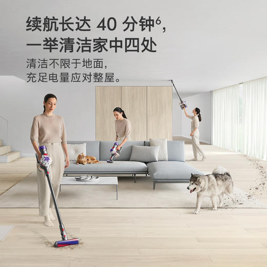 1F dyson戴森吸尘器 v8Fluffy 商品图1