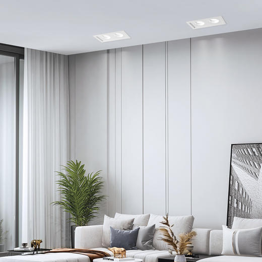 欧普（OPPLE）灵众双头筒灯 商品图3