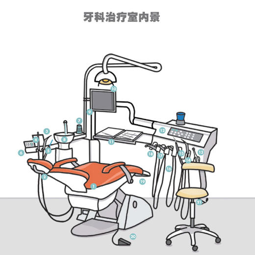 《牙齿之书：如何保持一口好牙的终极指南》 商品图6