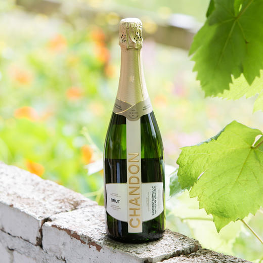 夏桐天然起泡酒750ml新包装