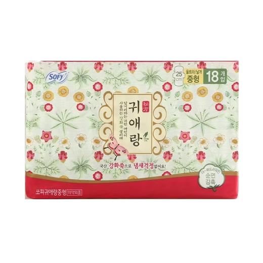 贵爱娘 韩方艾草卫生巾25cm 【中】  商品图0