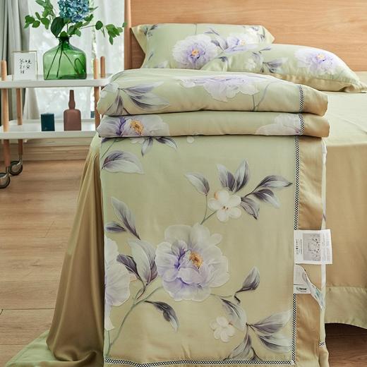 5F舒格雅天丝印花夏被 商品图0