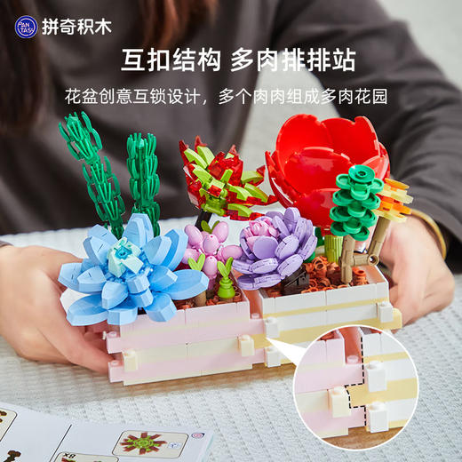 T 拼奇积木 15101   多肉花园系列  绯红低语 商品图3