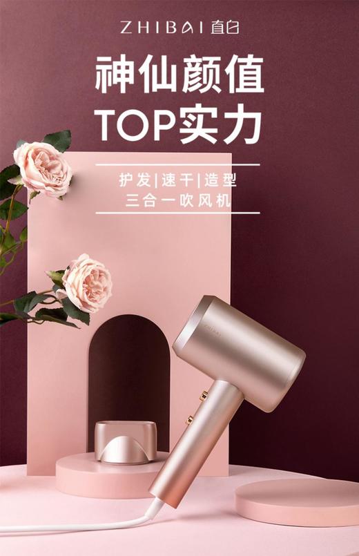 直白吹风机家用大功率速干负离子护不伤发小宿舍学生女款米电风筒铂瑞 HL340 商品图0