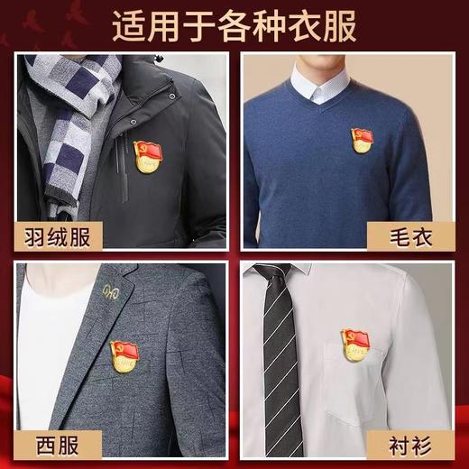 标准型加厚党徽磁铁磁扣党徽党员徽为人民服务章胸章1个 商品图4