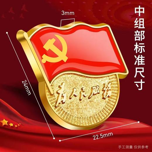 标准型加厚党徽磁铁磁扣党徽党员徽为人民服务章胸章1个 商品图2