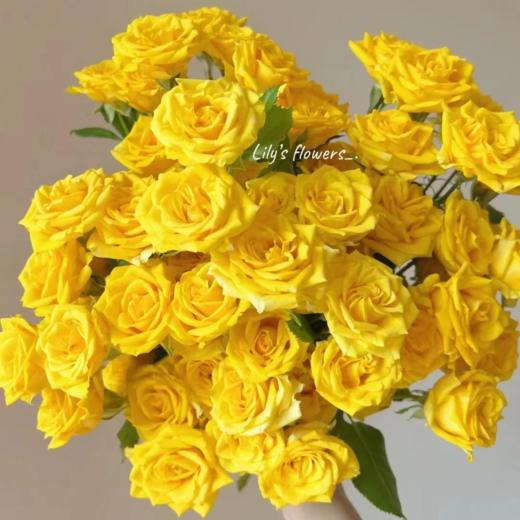 多头玫瑰幸运泡泡