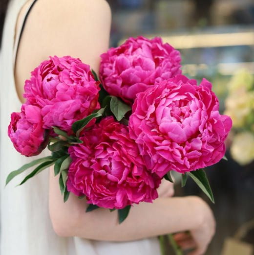 【红富士重瓣芍药】5支/份  第二份减10元 商品图1