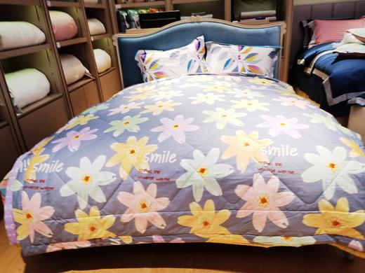 5F舒格雅棉夏被 商品图0