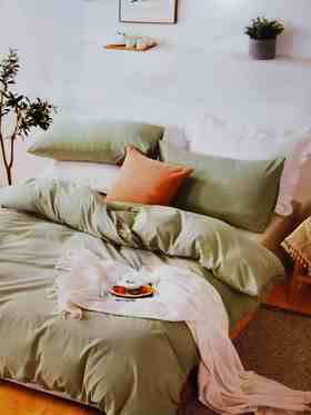 5F舒格雅水洗棉四件套