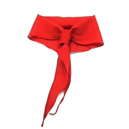 红领巾少先队小学生通用标准红领巾1条 商品图3