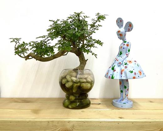 青春-然女孩 李龙飞 商品图0