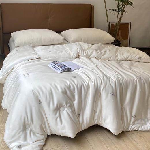 5F舒格雅大豆复合春秋被 商品图0