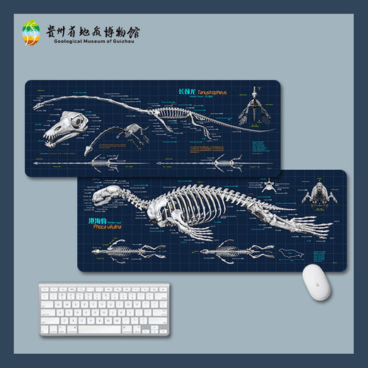 贵地博｜【文创】鼠标垫 商品图3