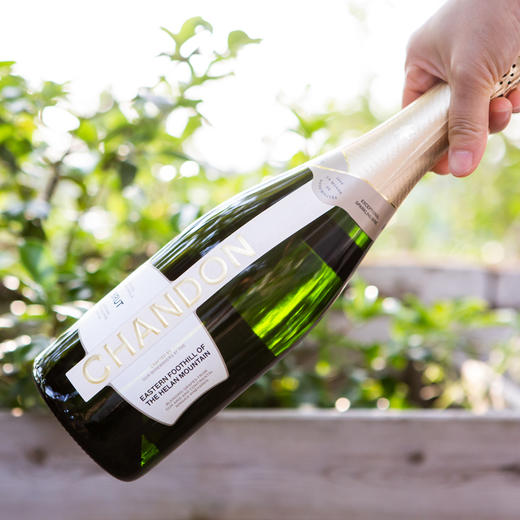 夏桐天然起泡酒750ml新包装