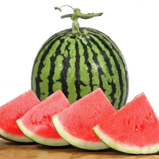 西瓜  2500g±500g  【BC】【DN】 商品图0