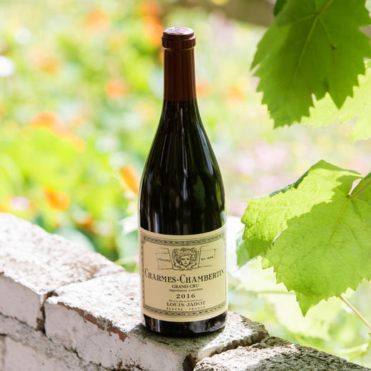 路易亚都香贝丹特级园红葡萄酒2016 商品图0