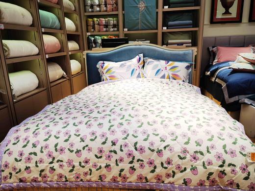 5F舒格雅棉夏被 商品图0