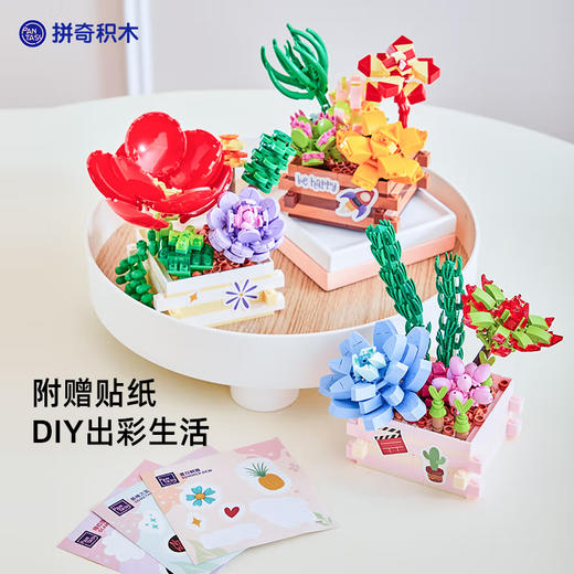 T 拼奇积木 15101   多肉花园系列  绯红低语 商品图4