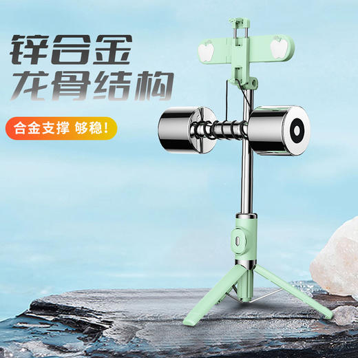 蓝牙多功能迷你遥控手机自拍杆支架双补光灯一体式直播拍照-春艺W仓 商品图2