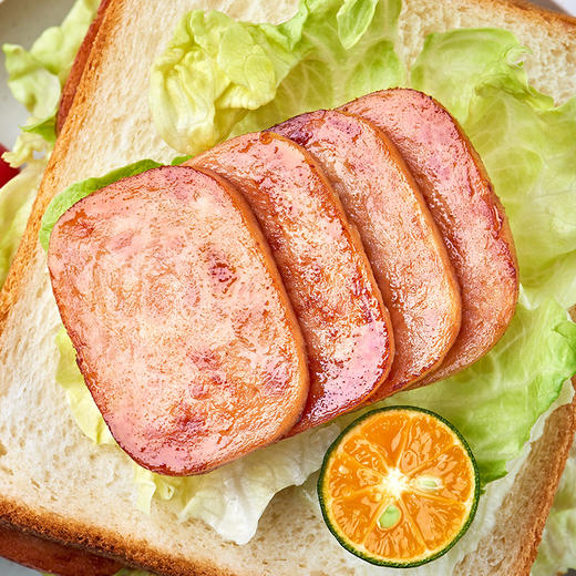 秋林里道斯 经典火腿午餐肉肠320g即食速食食材午餐肉 商品图1