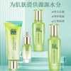 百雀羚水嫩倍现护肤组合 商品缩略图2