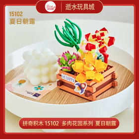 T 拼奇积木 15102   多肉花园系列  夏日朝露