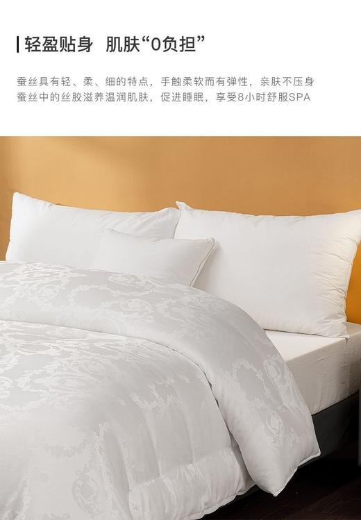 5F舒格雅提花桑蚕丝冬被 商品图2