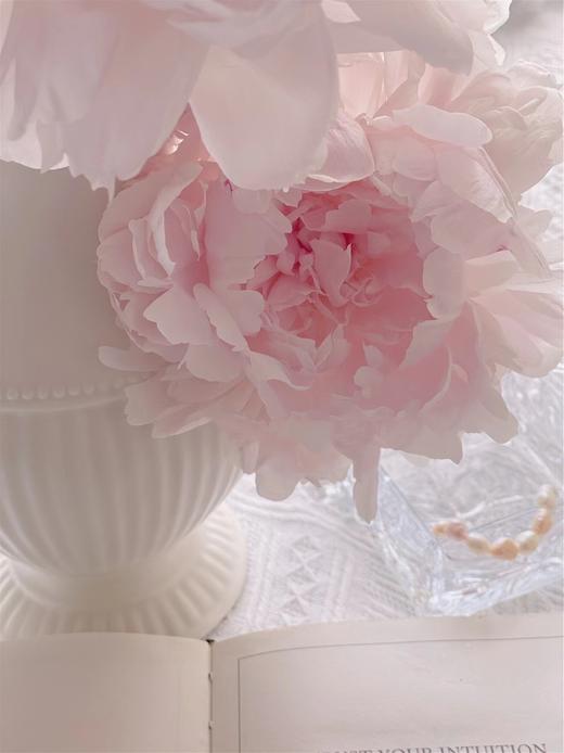 【预售！4.20起陆续发出】枕边语芍药【我可以每天在你身边醒来吗？】简小姐精超大花头 稀有少女粉 枕边语 2件包邮 顺丰空运 商品图5