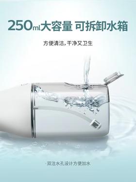 7F PHILIPS飞利浦水牙线HX3806