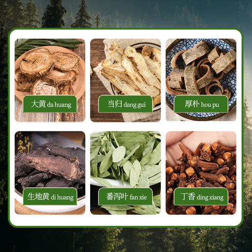 【买3发5买4发7】御恒堂秘通贴6味植物本草配方脐疗名方排宿便调理肠胃6贴/盒 商品图3