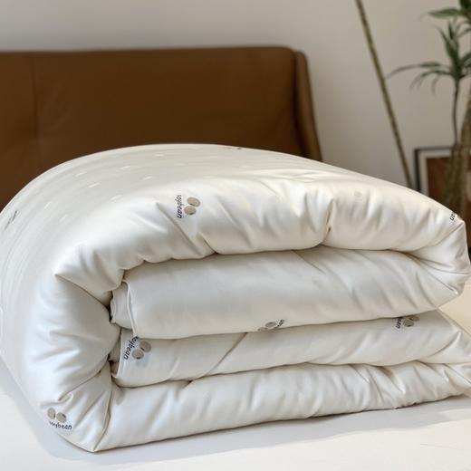 5F舒格雅大豆复合春秋被 商品图1