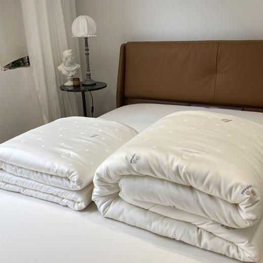 5F舒格雅大豆复合春秋被 商品图2